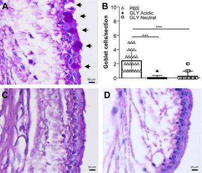 Ocular Effects of Glycyrrhizin at Acidic and Neutral pH